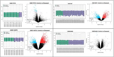 Identification and validation of differentially expressed genes for targeted therapy in NSCLC using integrated bioinformatics analysis